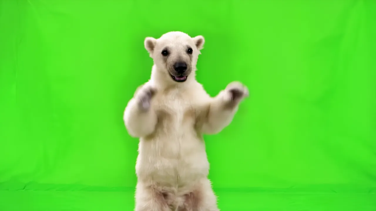 Adorable Polar Bear Cub Standing on Hind Legs