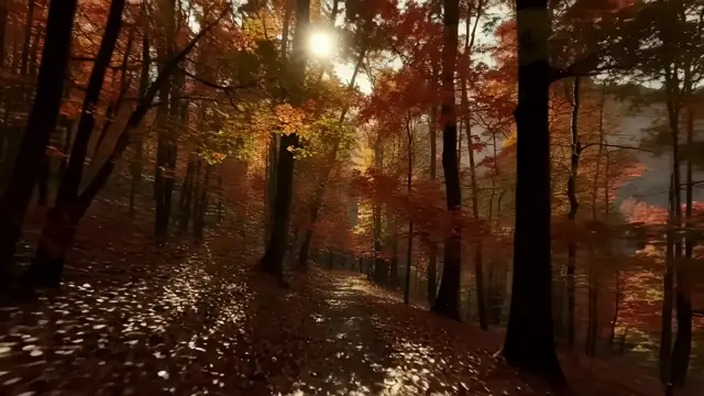 Autumn Forest with Vibrant Red and Orange Leaves