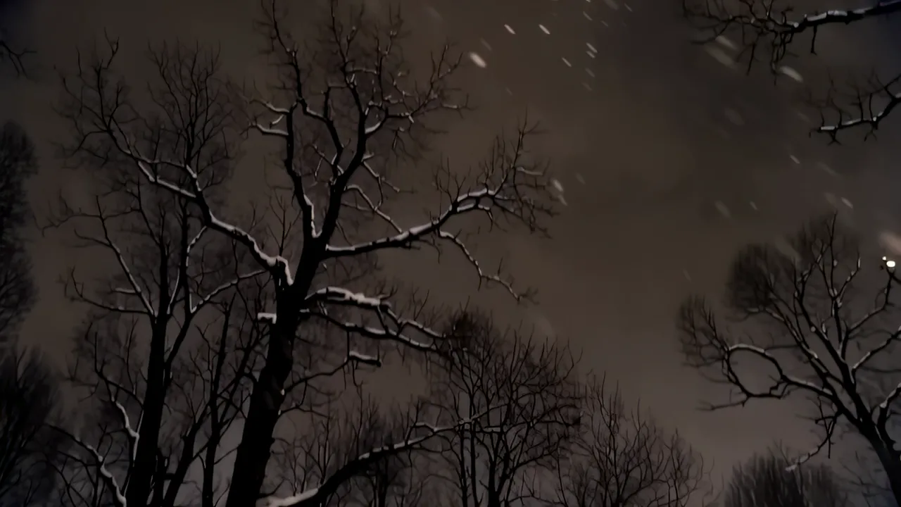 Bare Winter Trees in Snow-Covered Forest
