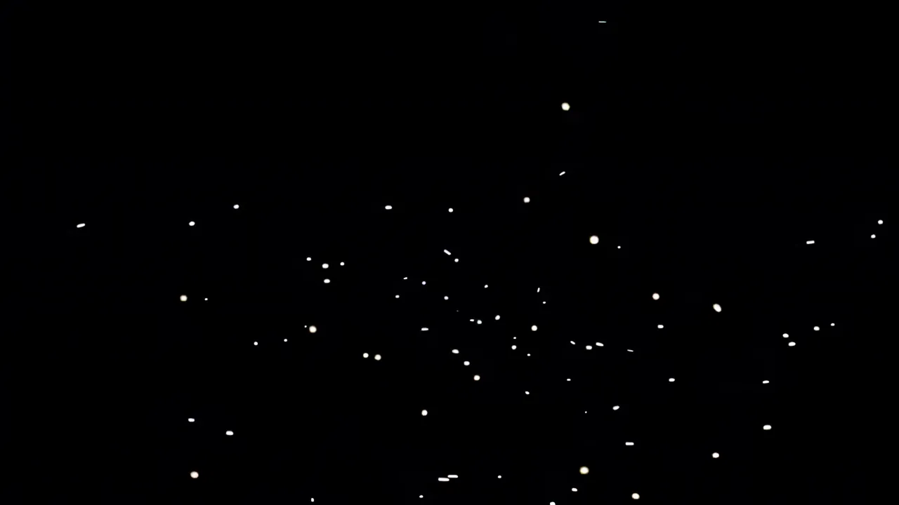 Faint White Dust Motets Floating in Black Space