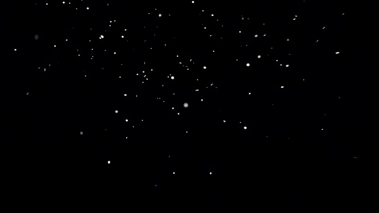 Falling Snowflakes on Black Background