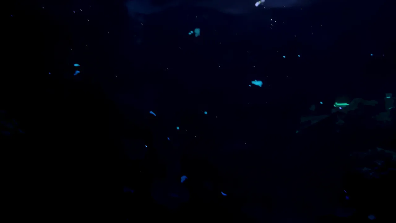 Glowing Deep Sea Jellyfish with Neon Edge Lighting