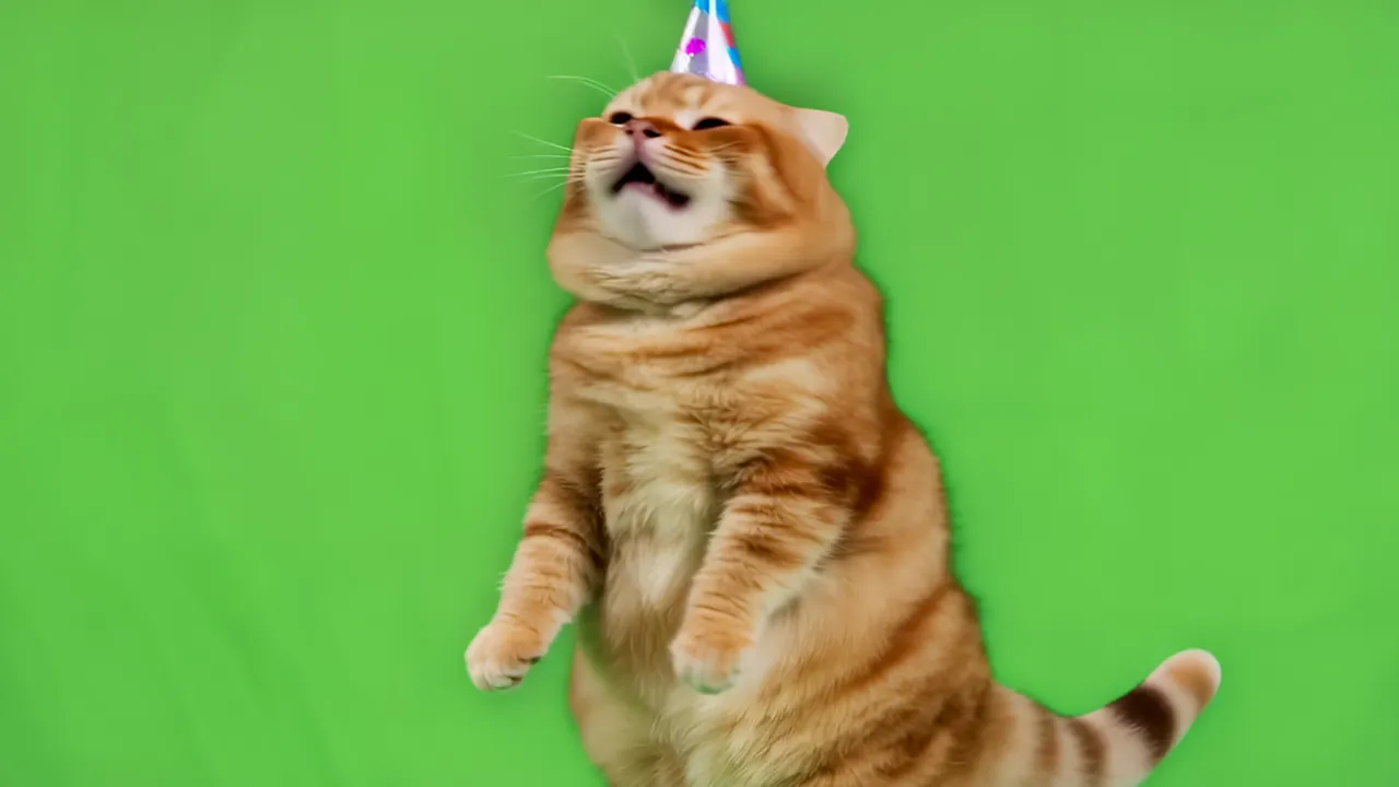 Lazy Orange Cat Standing Upright with Half-Closed Eyes