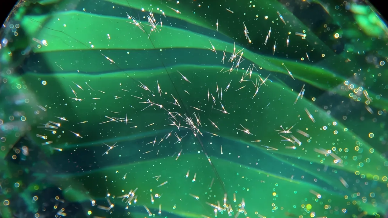 Microscopic View of Rutile Silk Inclusions in Gemstone