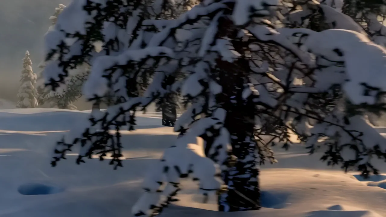 Snow Falling Over a Serene Winter Forest Scene