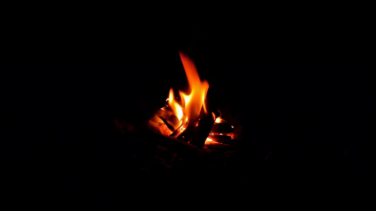 Steady Campfire Flame Illuminating the Darkness